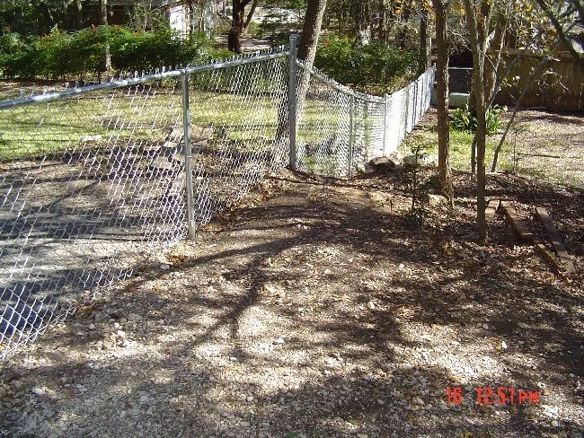 Chain link fence running through a wooded lot