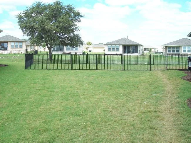 Low black metal fence bordering a lawn in a residential neighborhood